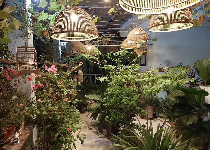 Alleyhomestay 2